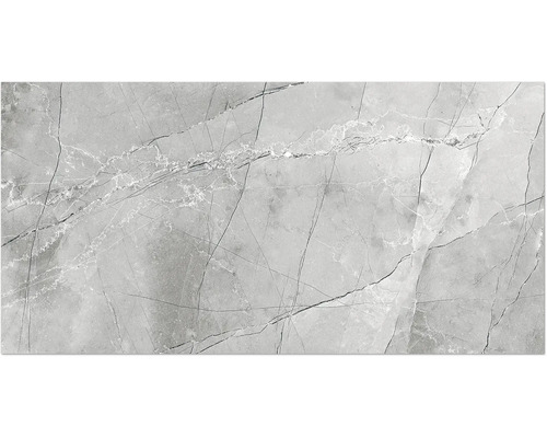 Porseleinen steengoed wand- en vloertegel Centura grigio 60 x 120 x 0,9 cm glanzend gerectificeerd