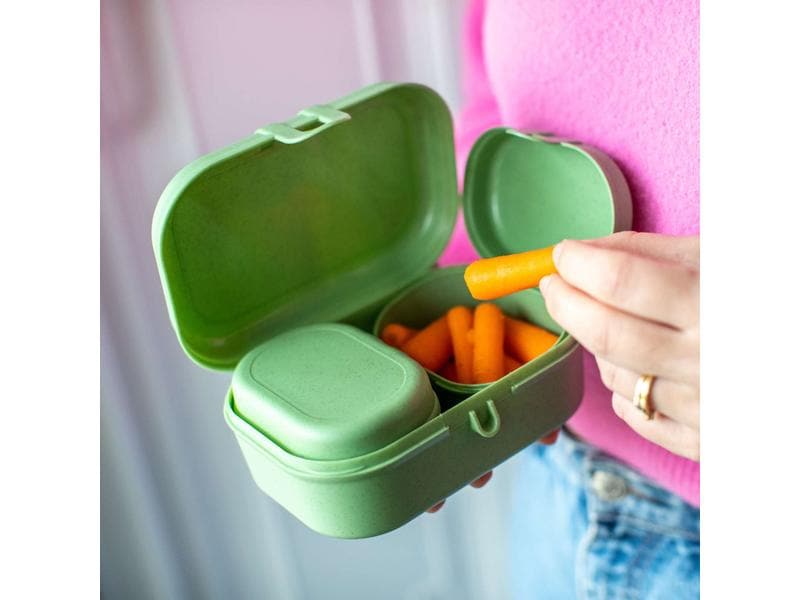 Koziol Lunchbox Pascal Ready Mini Grün Grüne Frühstücksdosen