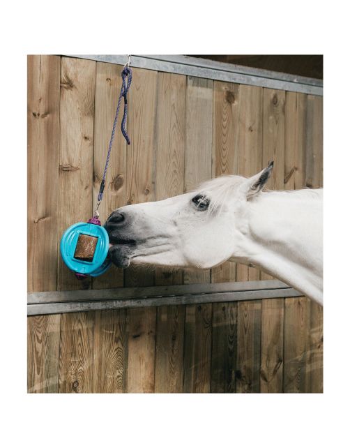 Bizzy Lick Bizzy Bal - Liksteenhouder - Paardenspeelgoed - Aqua