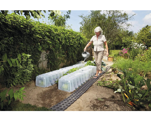 SUNNY Plantentunnel GARANTIA 5-delige complete set