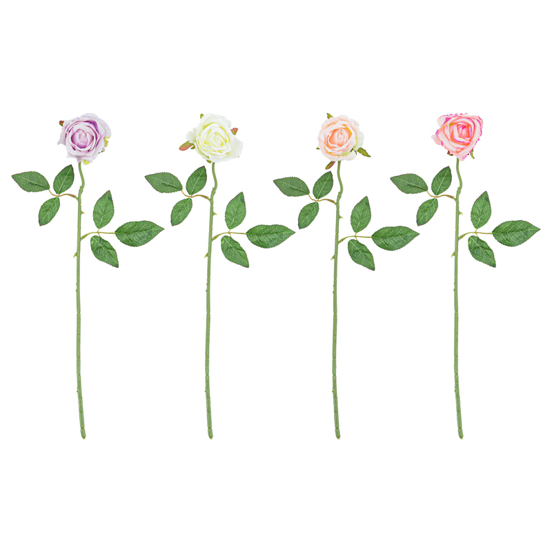 Tige de rose