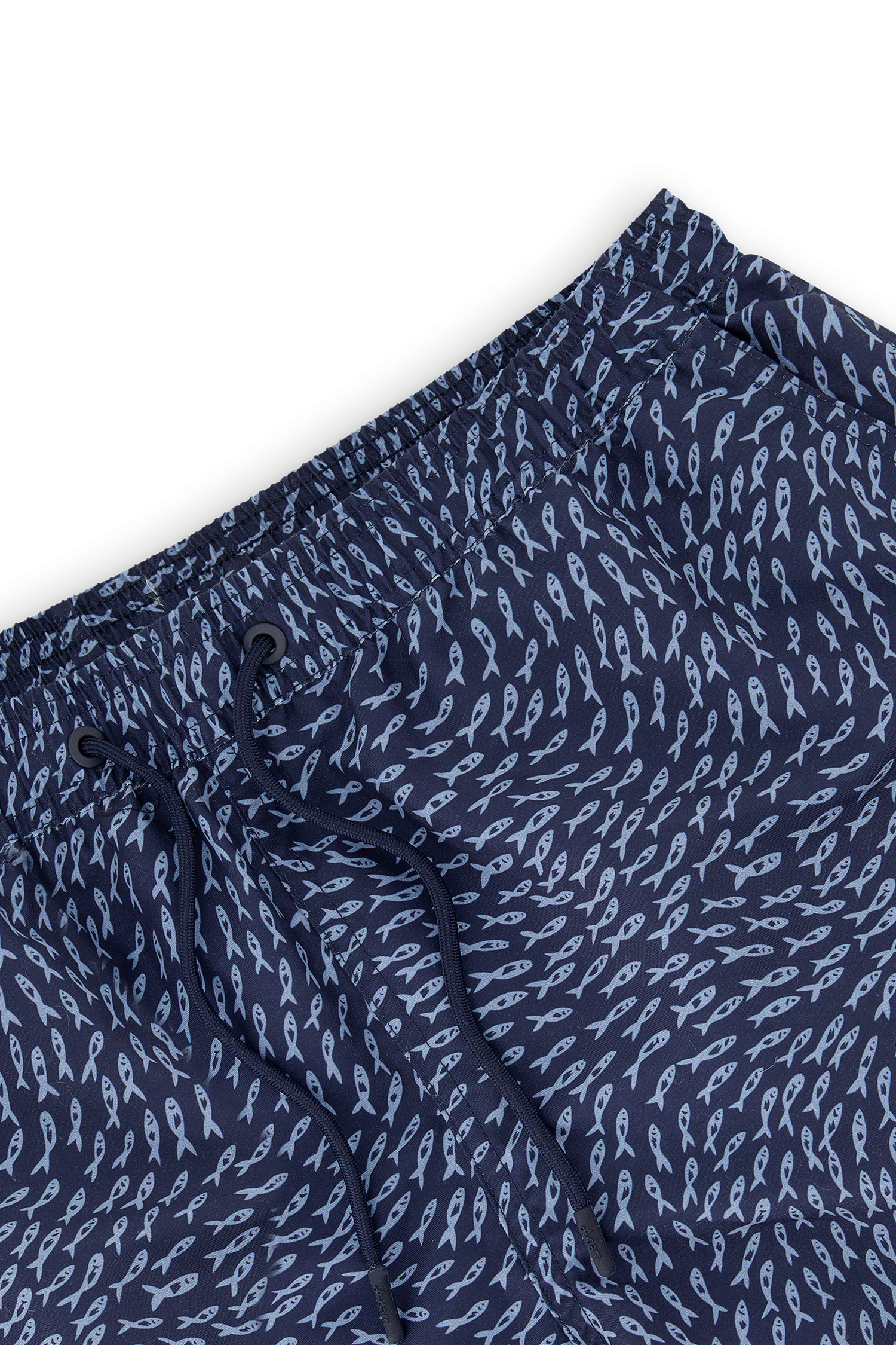 Blue School of Fish