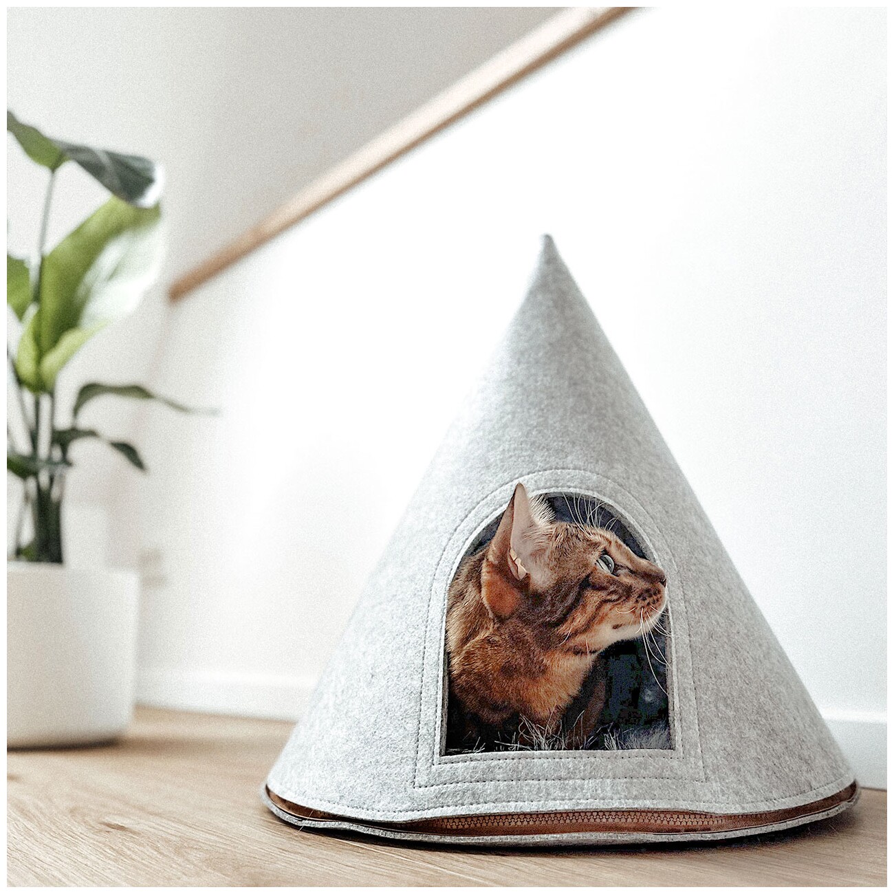 Canadian Cat Company Katzenzelt Cone