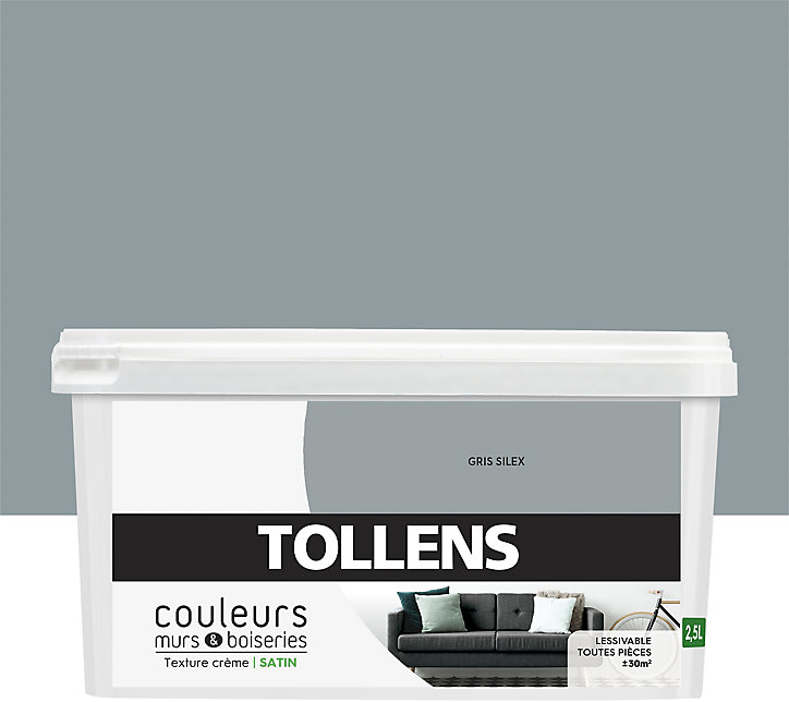 Peinture murs et boiseries Tollens gris silex satin 2,5L