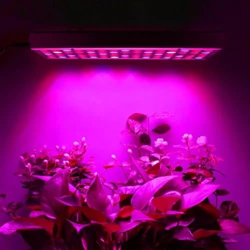 Plantebelysning 225 LED Panel | Dyrkingslampe for optimal planteutvikling