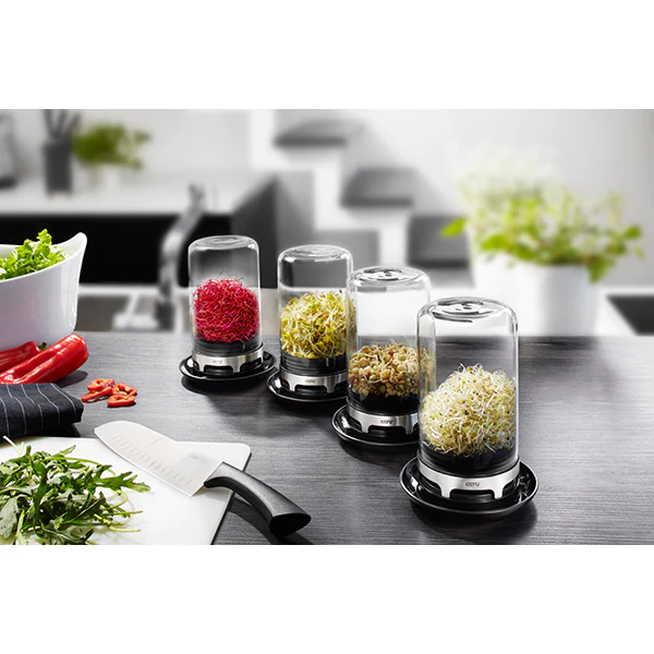 Mini-serre en verre pour jeunes pousses Bivita Gefu
