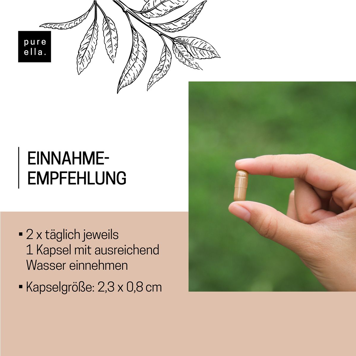 pure ella Anti-Aging