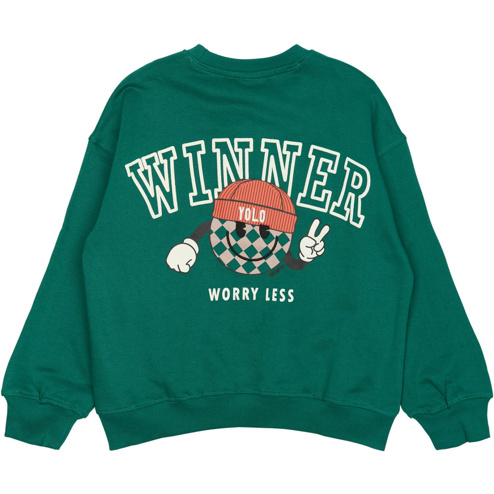 Køb The New Alpine Green Paul Oversize Sweatshirt
