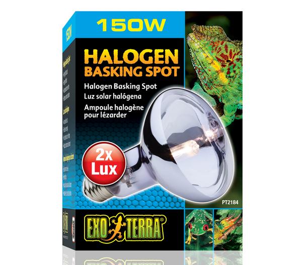 Exo Terra® Halogen Basking Spot