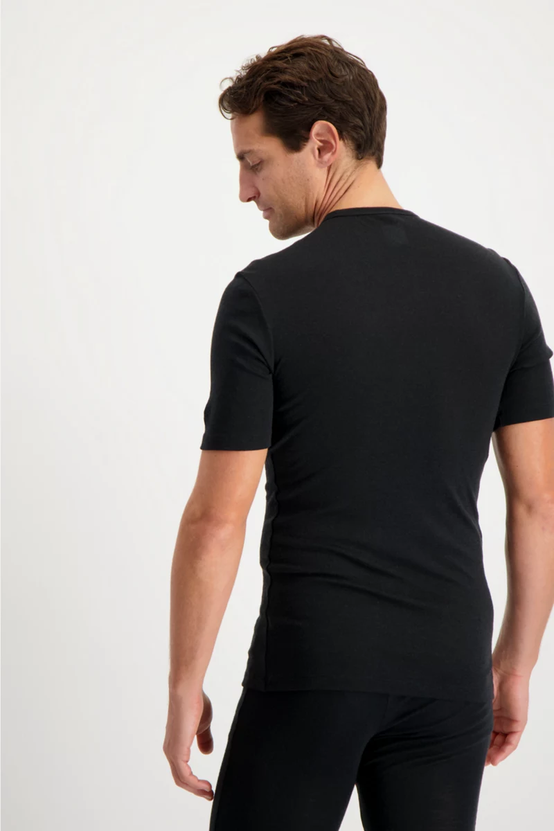 icebreaker Merino 175 Everyday Herren Thermoshirt