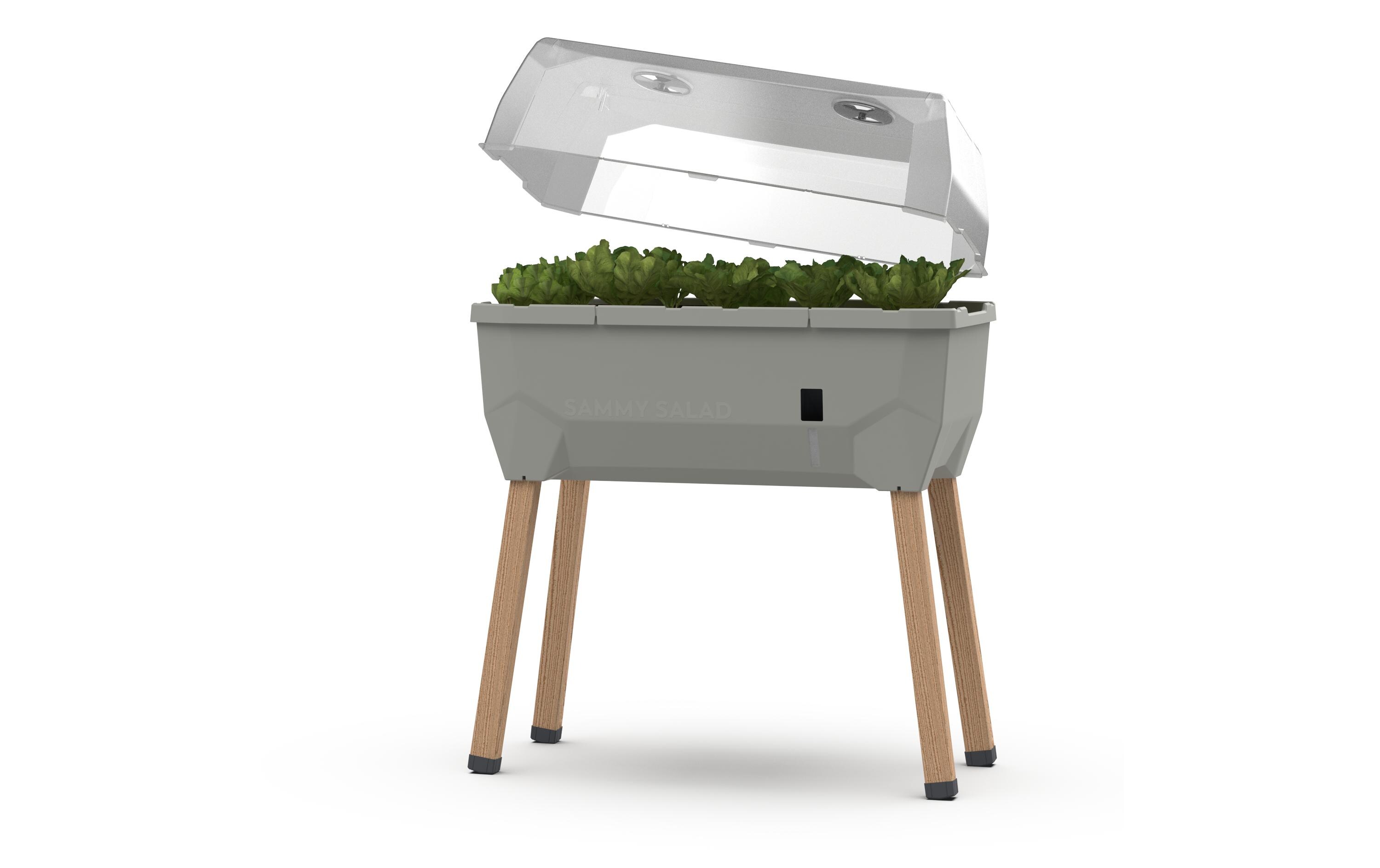 Deckel zu SAMMY SALAD TransparentZubehör für das Hochbeet