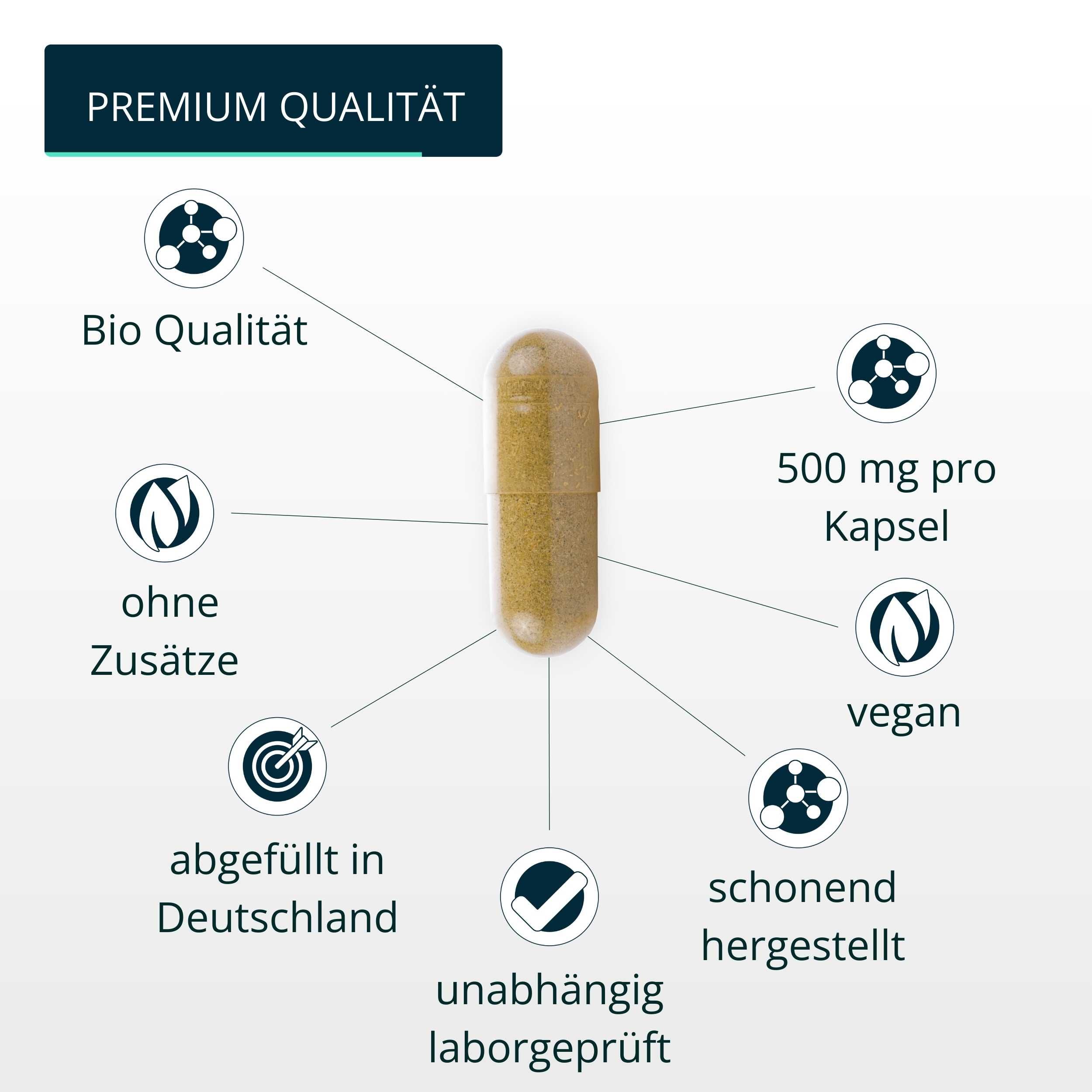 brandl® Bio Maitake Pilz Vitalpilz