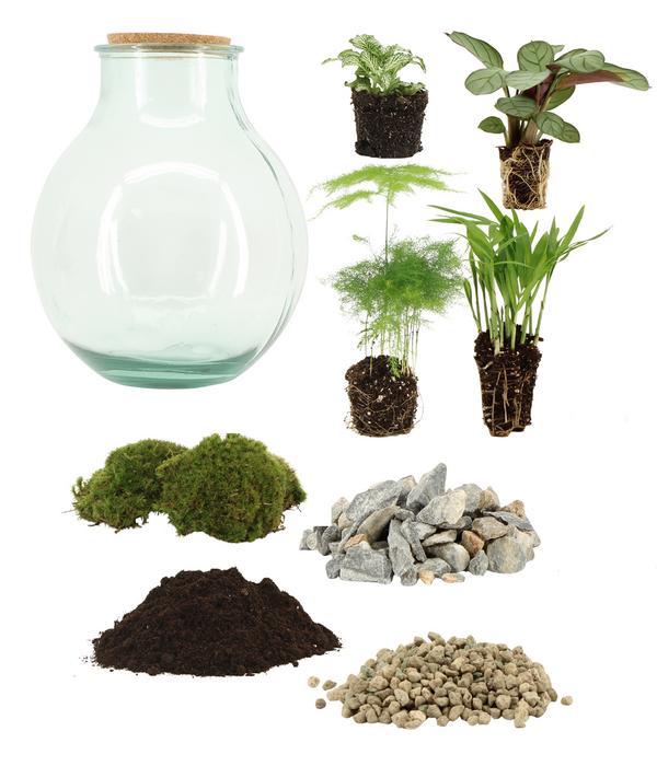 Flaschengarten DIY-Set Tropisches Paradies,