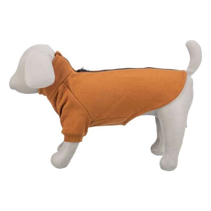 Sweat CityStyle Amsterdam - Orange rouille