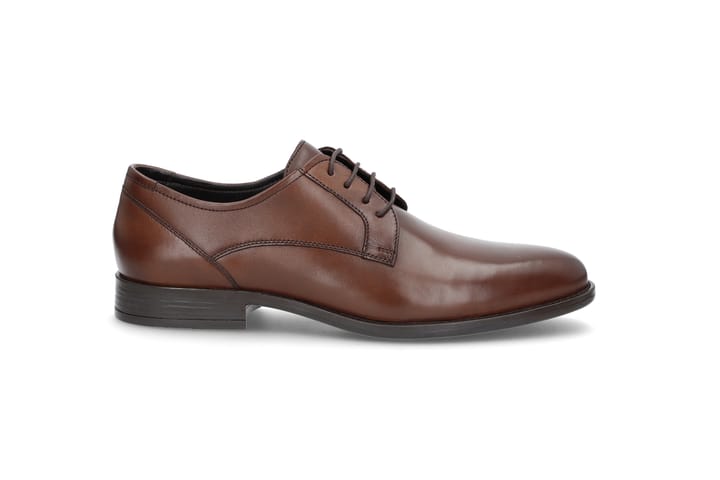 Skinn dressko