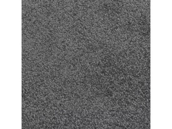 Paillasson Anthracite 80x120 cm