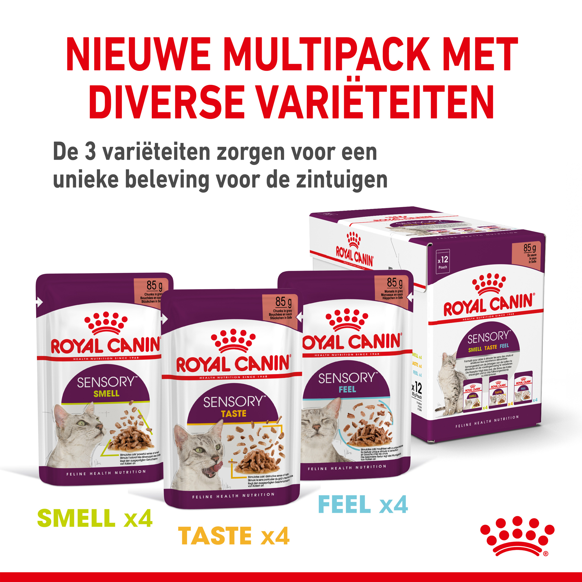 Royal Canin FHN Sensory Smell In Gravy