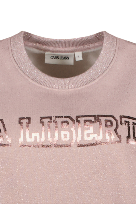 Cars roze dames sweater