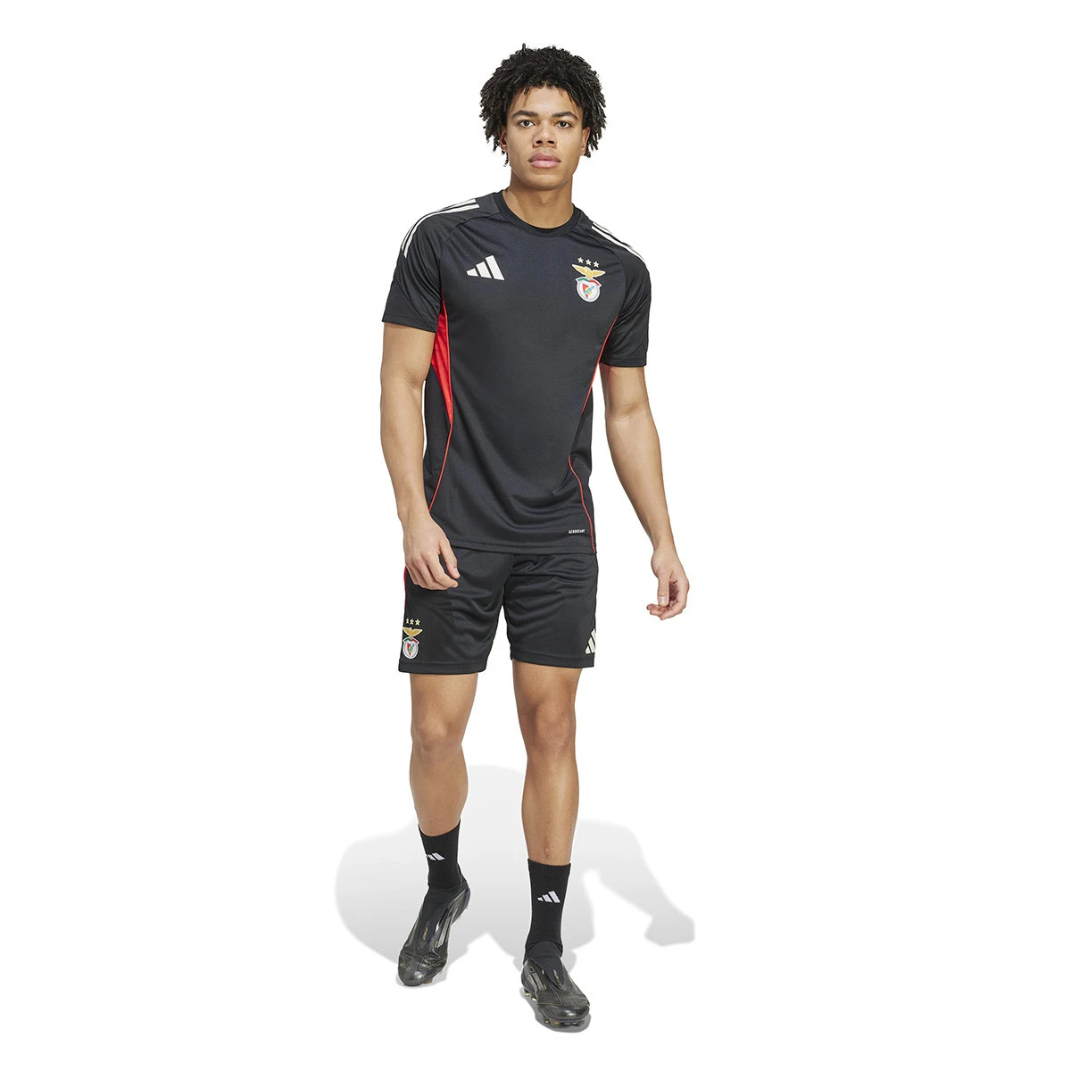 Calções adidas SL Benfica Training 2025-2026