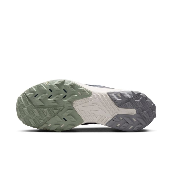 Nike Herre Trailsko Kiger 9 Grå