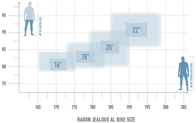 Radon Jealous AL 10.0 kaufen | Bike-Discount
