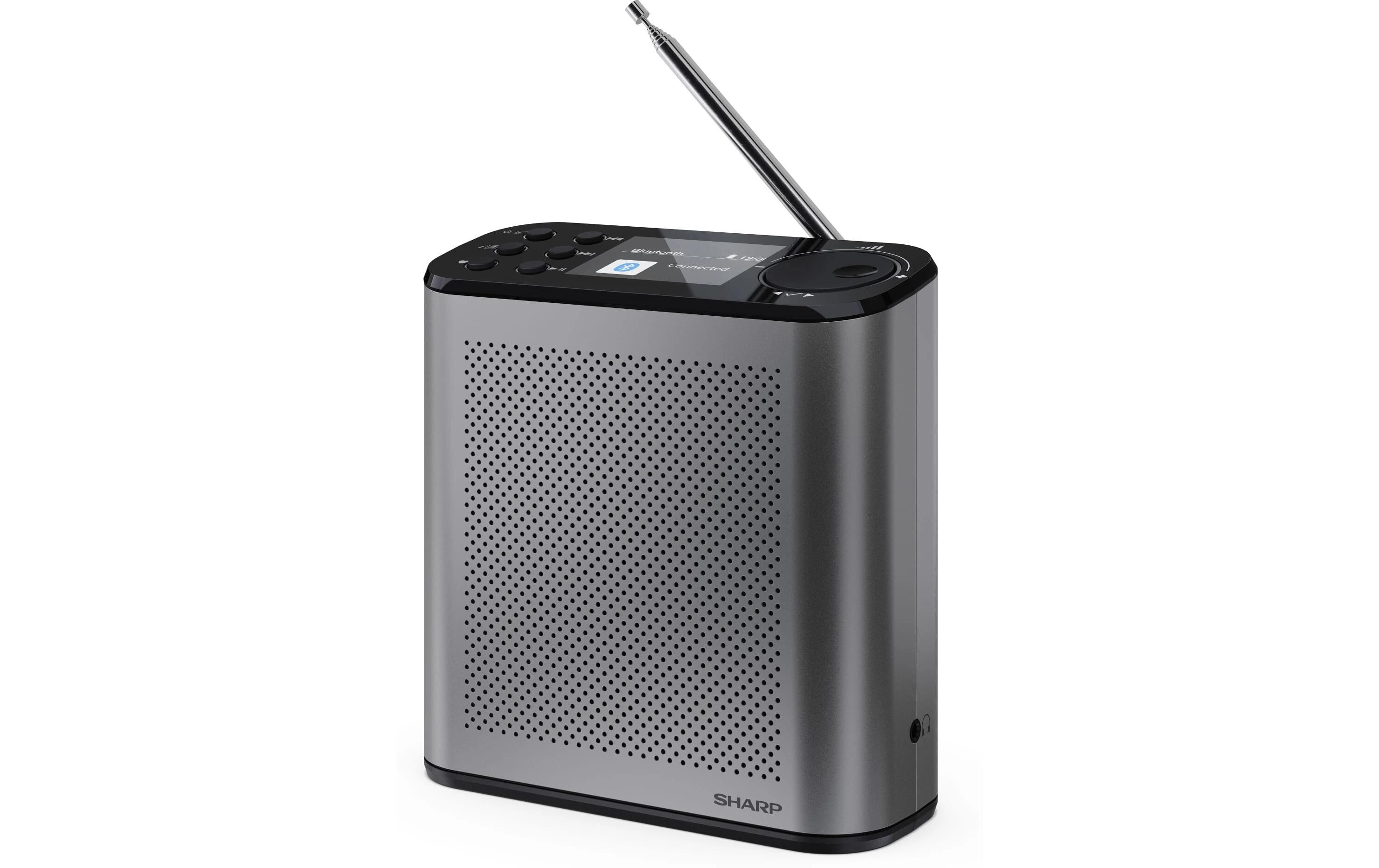 DAB+ Radio DR-P530 GrauTragbares DAB+-Radio mit Bluetooth-Streaming