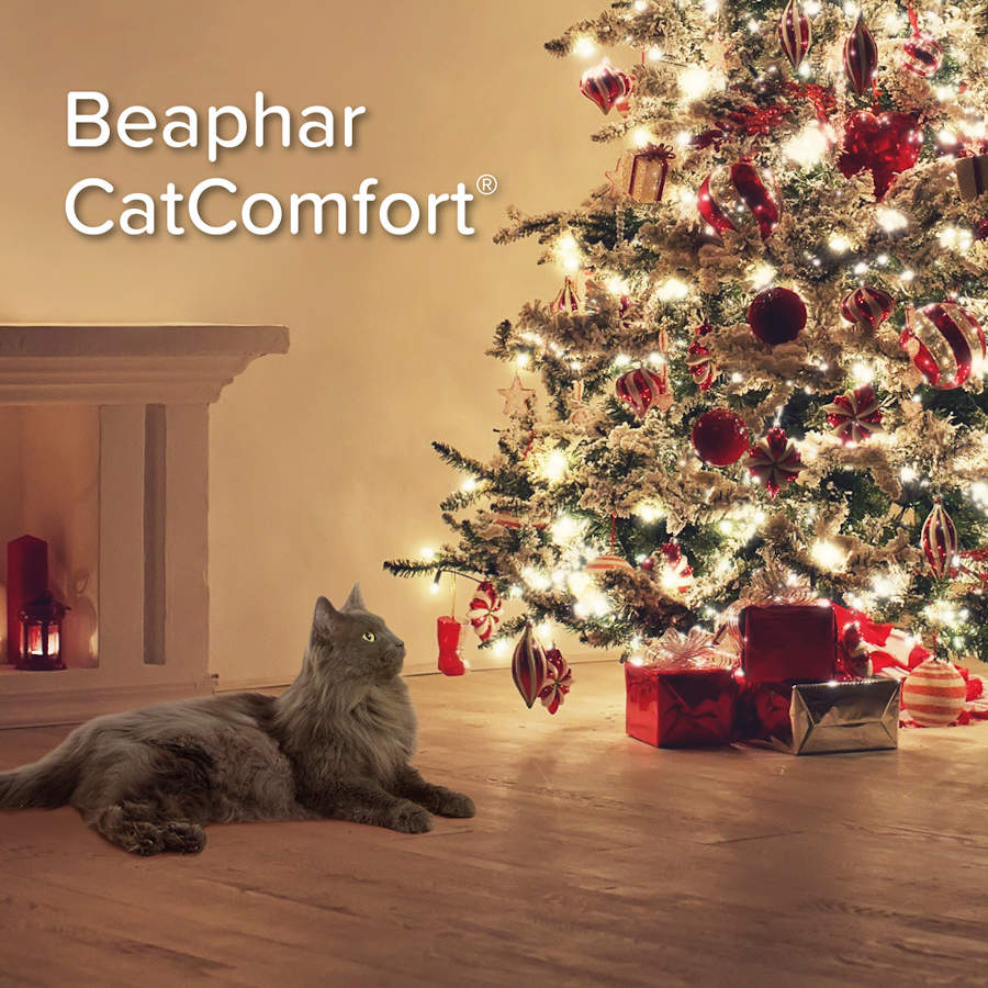 Spray relaxante Beaphar CatComfort para estresse ocasional em gatos.