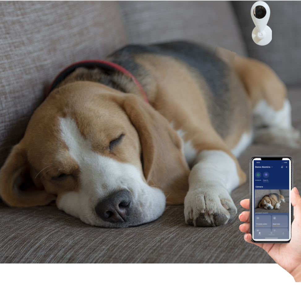 Kit PRO para Monitoramento e Cuidados com Animais de Estimação