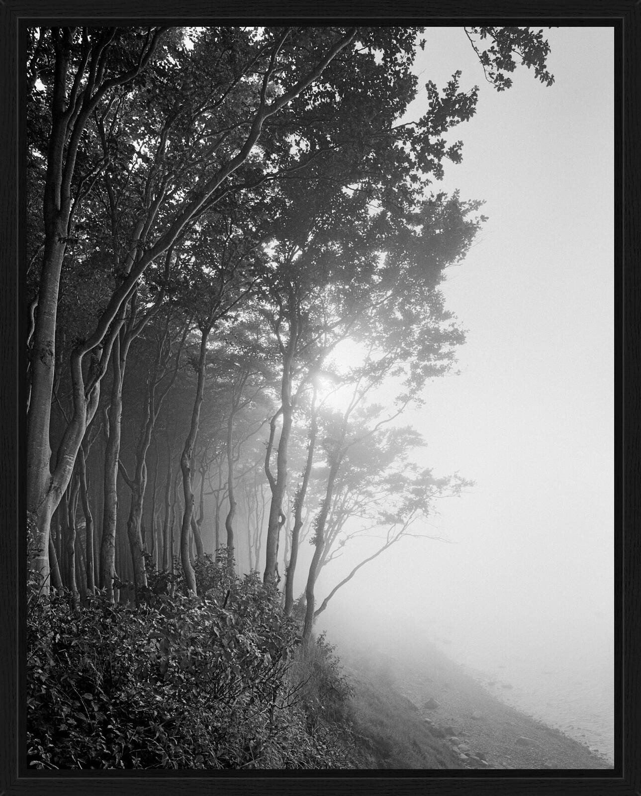 Wittow IV by Ralph Von Kaufmann - Limited Edition. Edition of: 150. Signed.