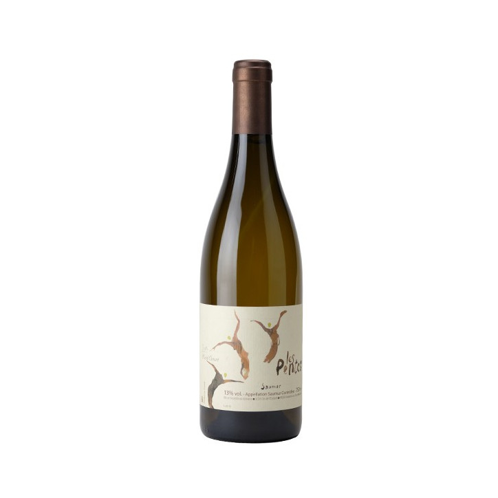 Domaine Michel Chevré Saumur 