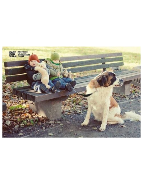 Waw Easy Dog Walk Zwart - Hondenriem-Schokdemper