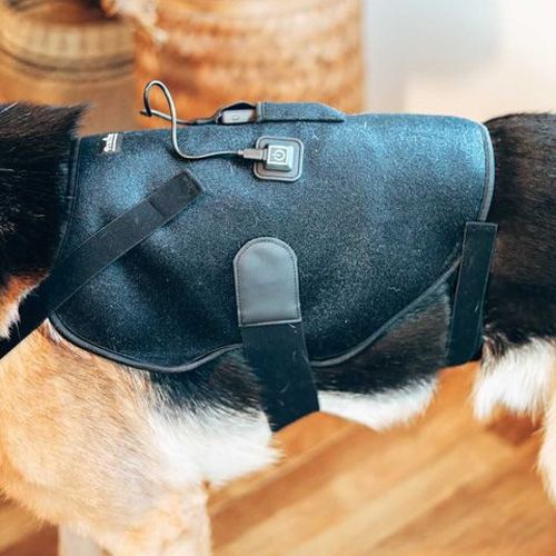 Suporte lombar com terapia de calor (L-XL)