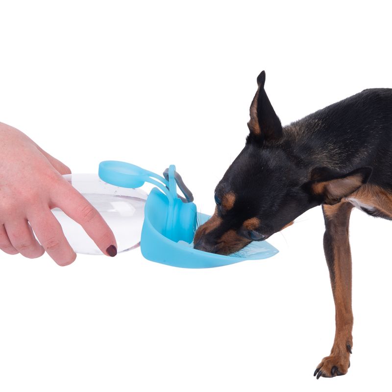 Gourde de voyage Smartpet
