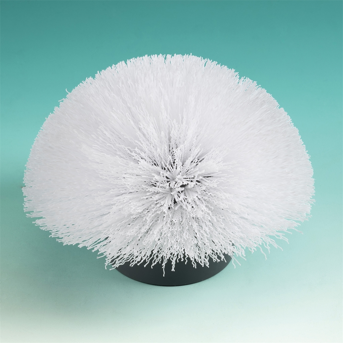 Brosse nettoyante télescopique
