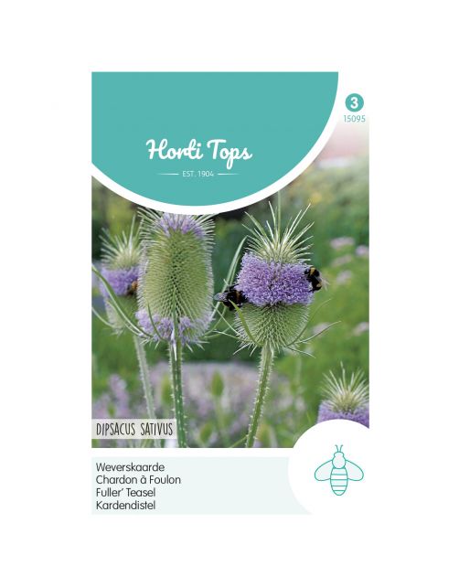 Hortitops Dipsacus - Weverskaarde - Bloemenzaden - 500 g