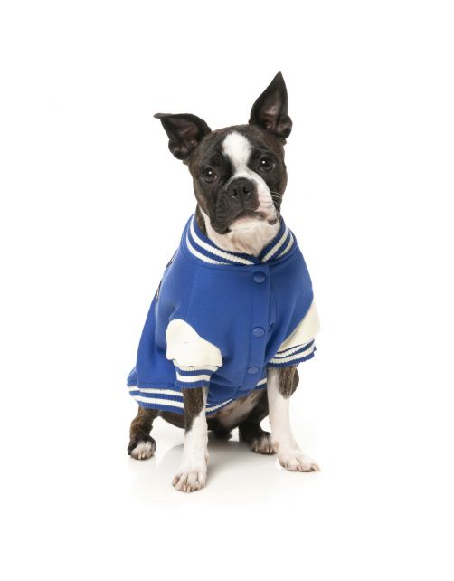 Fuzzyard The Letterman Jacket Blauw - Hondenkleding