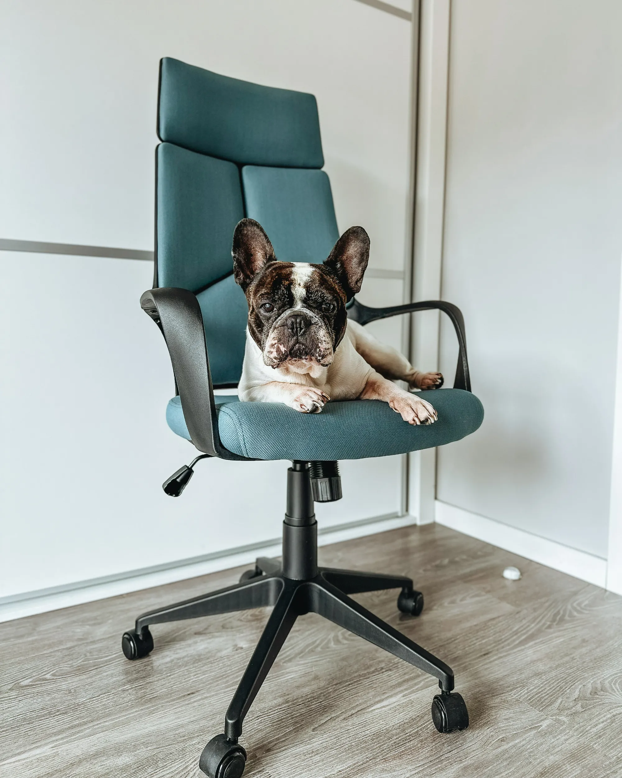 Bureaustoel DELIGHT Groenblauw