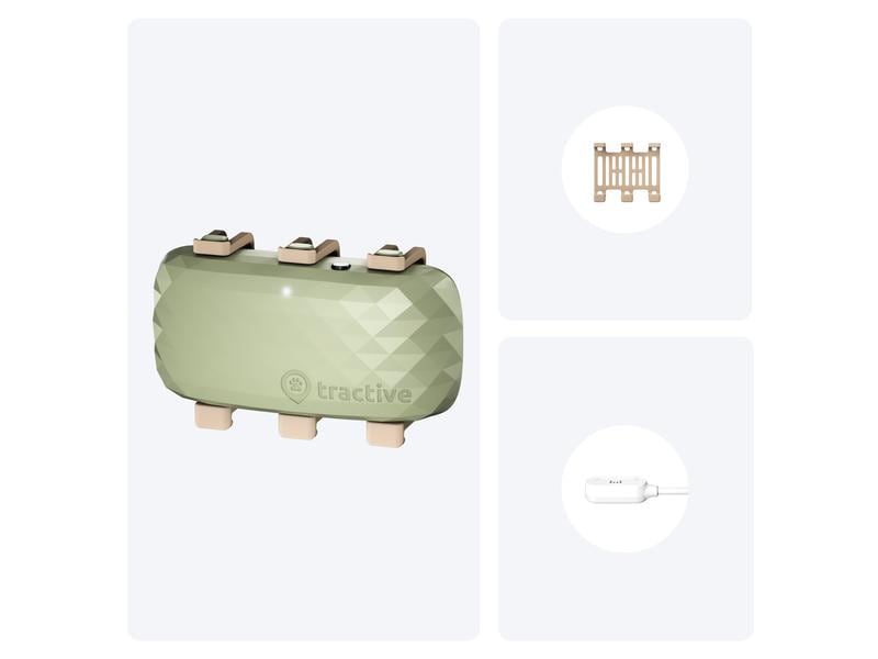 tractive GPS-Tracker DOG XL, Grün GPS Tracker für grosse Hunde