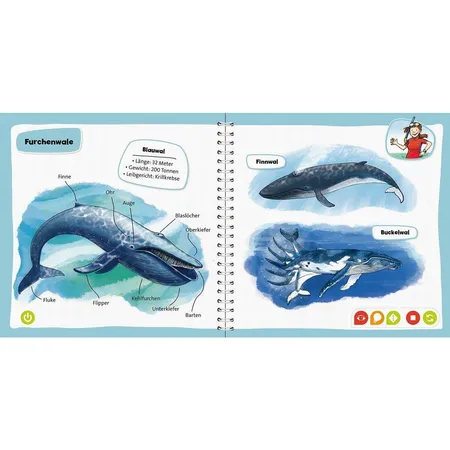 Ravensburger tiptoi® - Pocket Wissen: Wale und Delfine