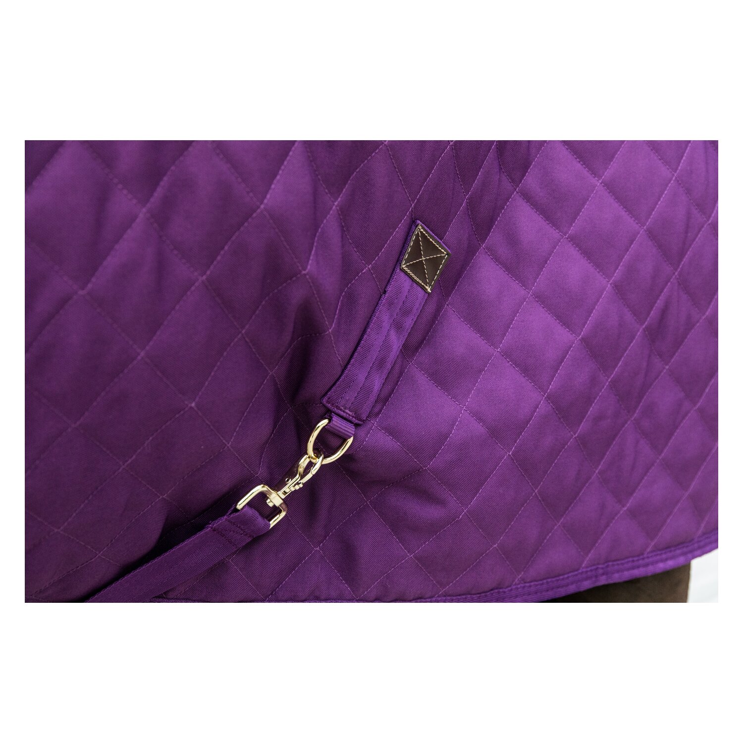 KENTUCKY Show Rug - purple royal