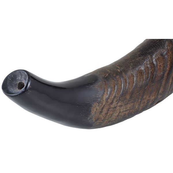 Thomann Water Buffalo Horn