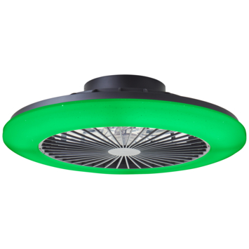 Brilliant plafondventilator Salerno met lamp en RGB functie 40W zwart