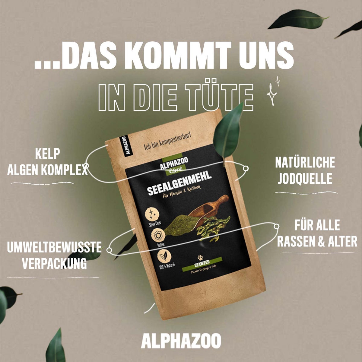 ALPHAZOO Zeewiermeel 250g voor Honden en Katten | Ascophyllum Nodosum Zeewier