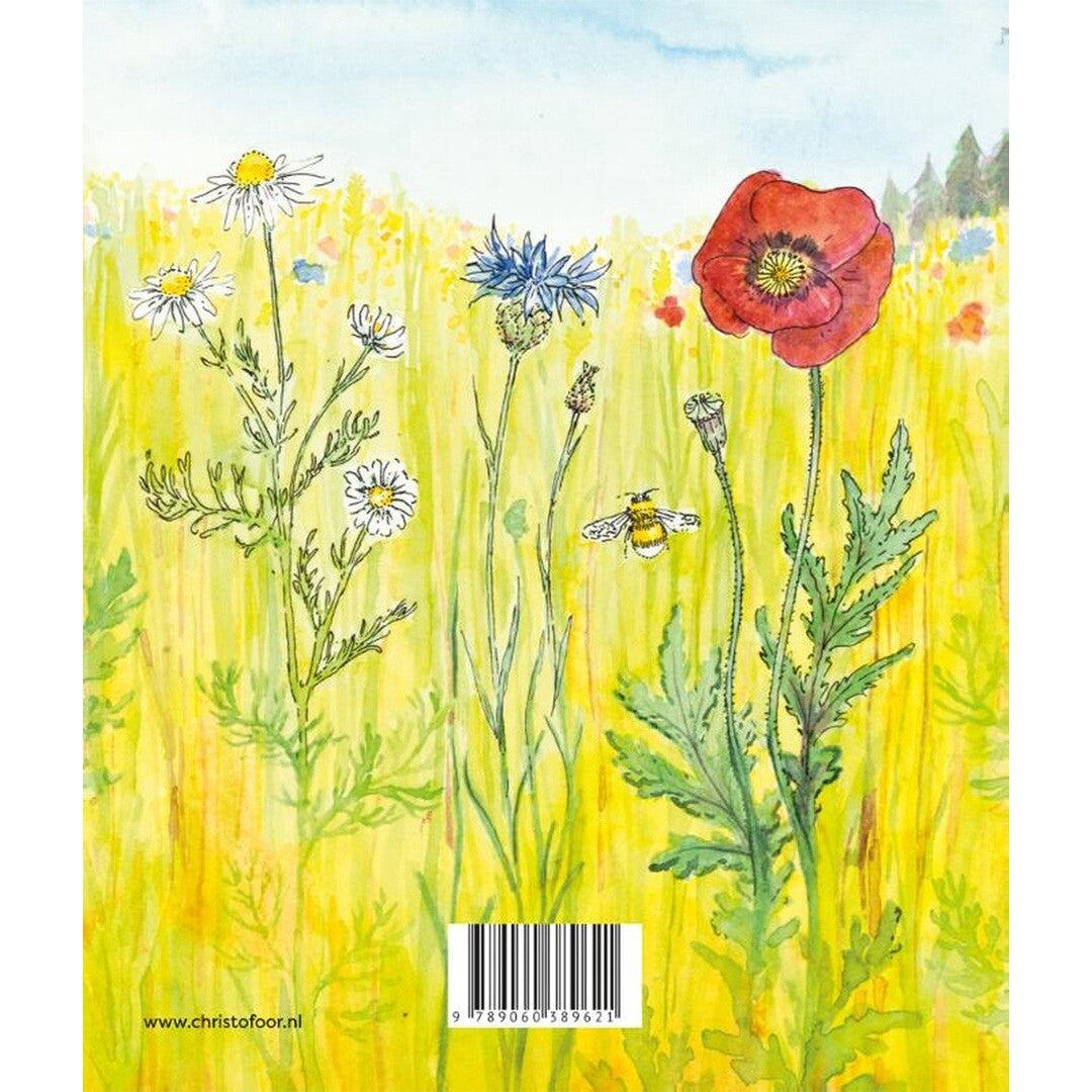 Uitgeverij christofoor kartonboek zomer