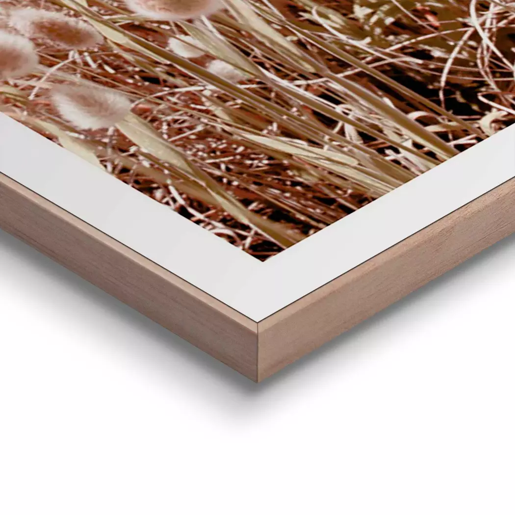 Wandbild 50 x 50 cm Dune Beach
