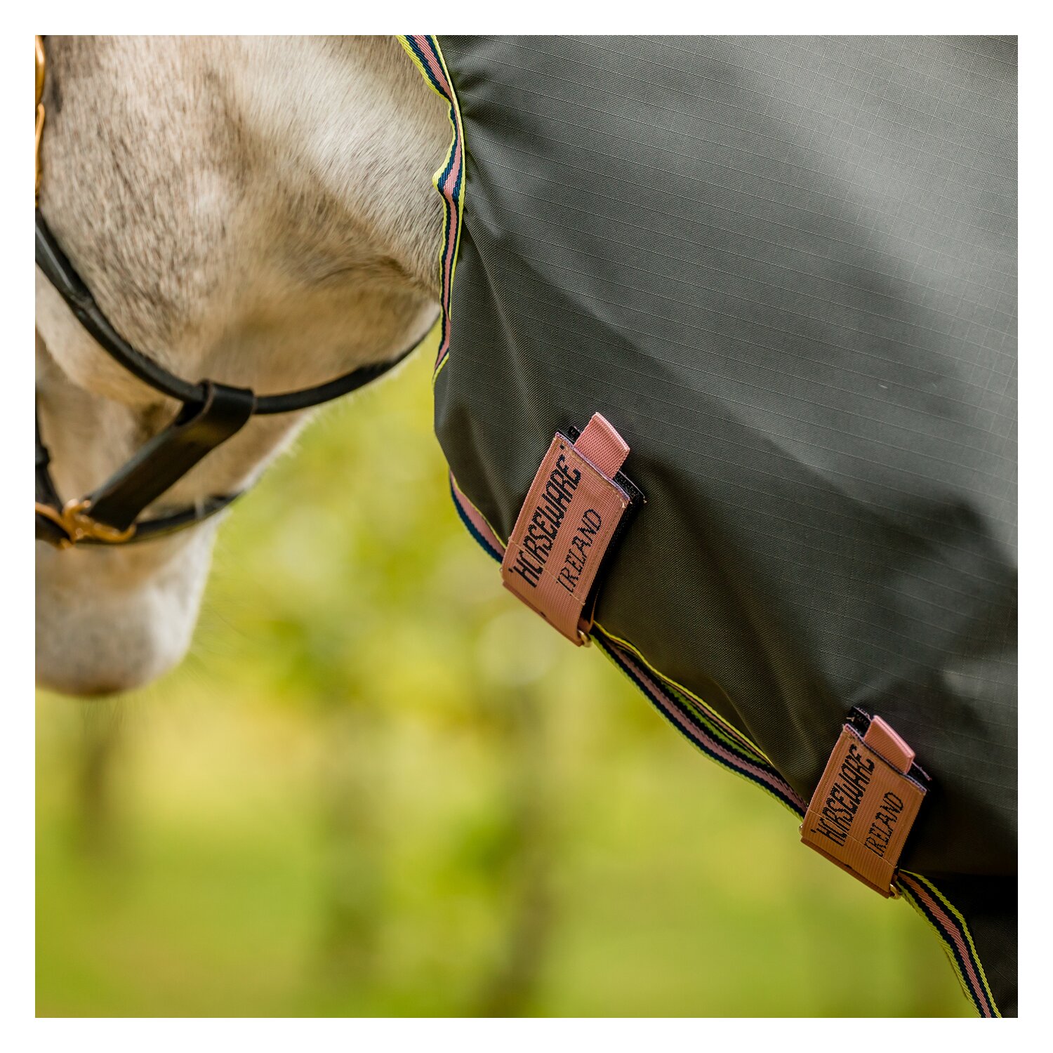 HORSEWARE Halsteil AMIGO Hero Ripstop - shoadow/rose/navy