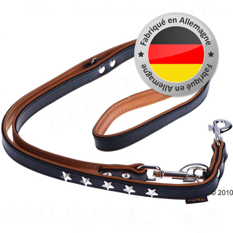 Laisse Heim Stars