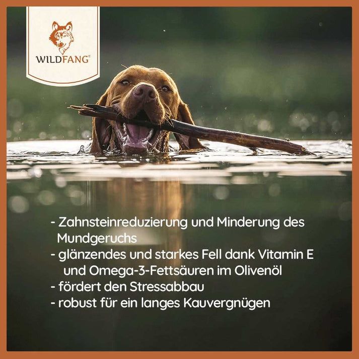 WILDFANG® Olivenholz-Kaustab