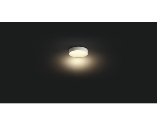 Philips Hue LED plafondlamp 9,6W 950 lm CCT 2200-6500 K Ø 26 cm wit - Compatibel met SMART HOME van Hornbach