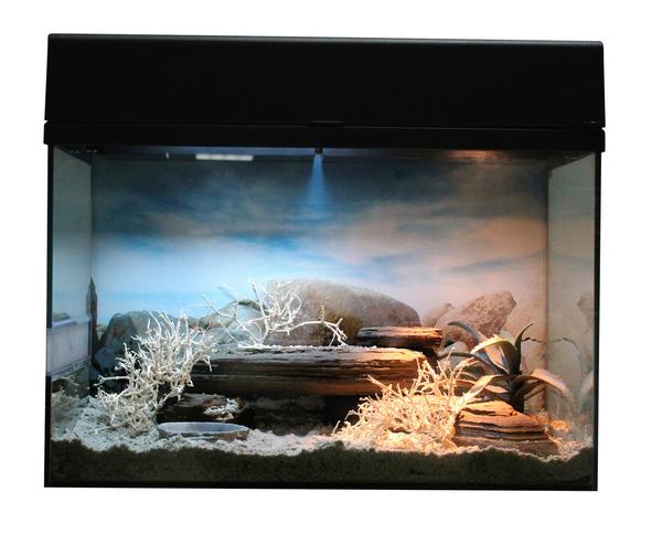 Lucky Reptile Terrarium Starter Kit